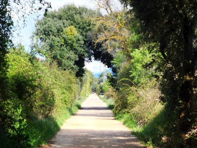 Via verde ferrocaril
